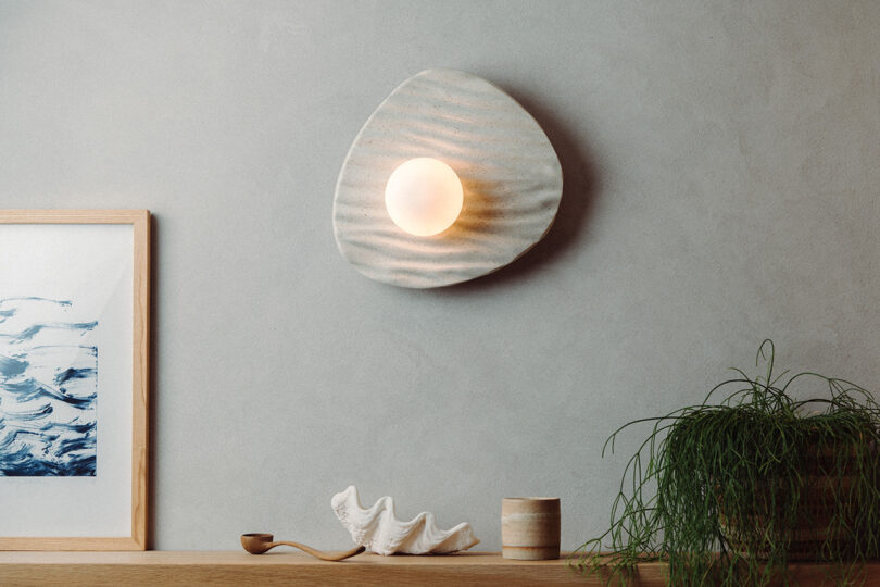 A wall light mounted above a shelf with a shell, a plant, and a wooden cup.