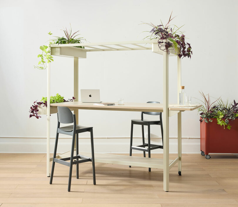 A bright, modern desk setup surrounded by lush greenery and personal work items on a wooden floor.