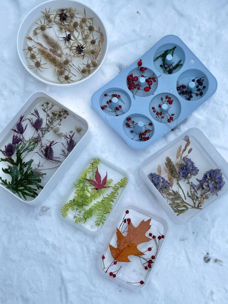 Selection of donut-shaped and rectangular frozen botanical blocks.