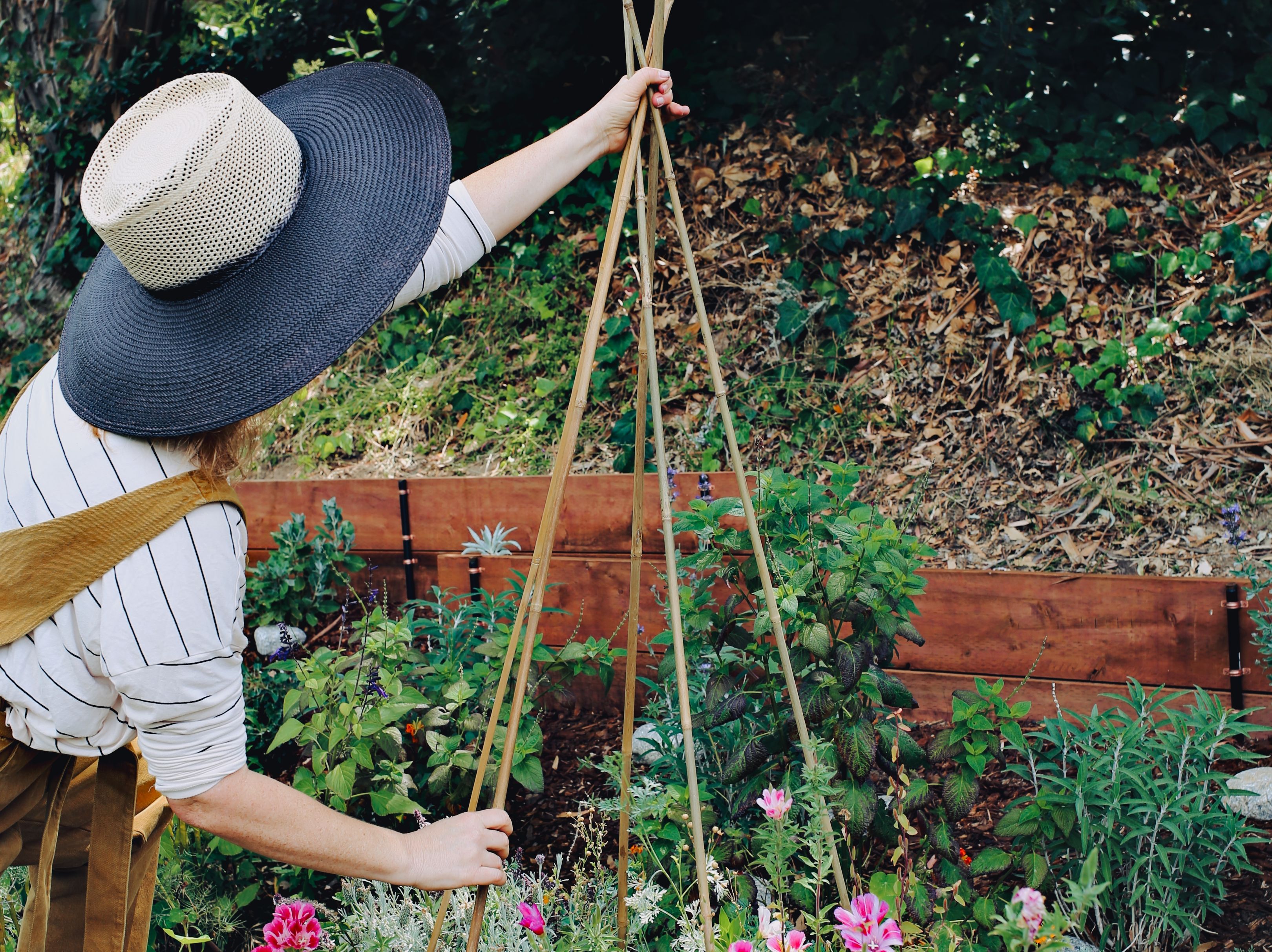 How to Build a DIY Garden Trellis: 3 Sustainable Bamboo Designs for Better Yields