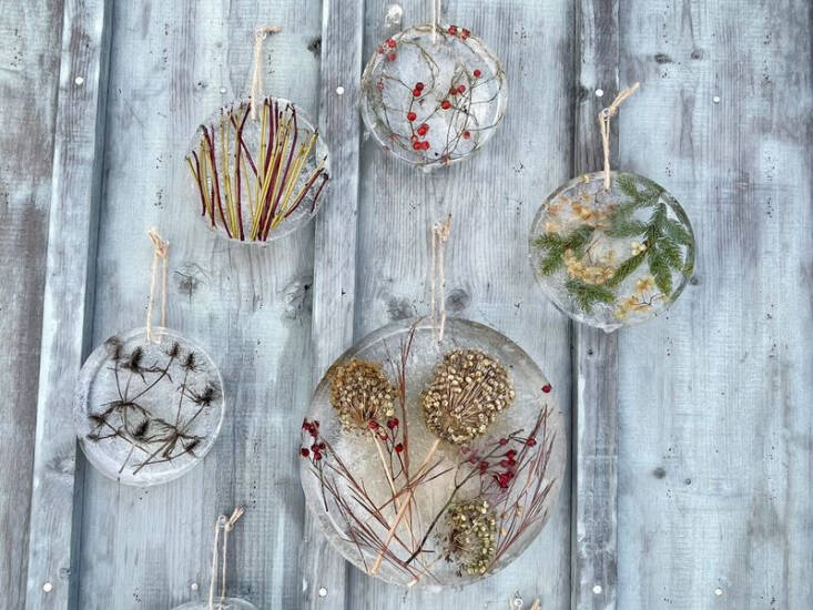 A collection of winter twigs, conifer sprigs, and dried hydrangea heads.