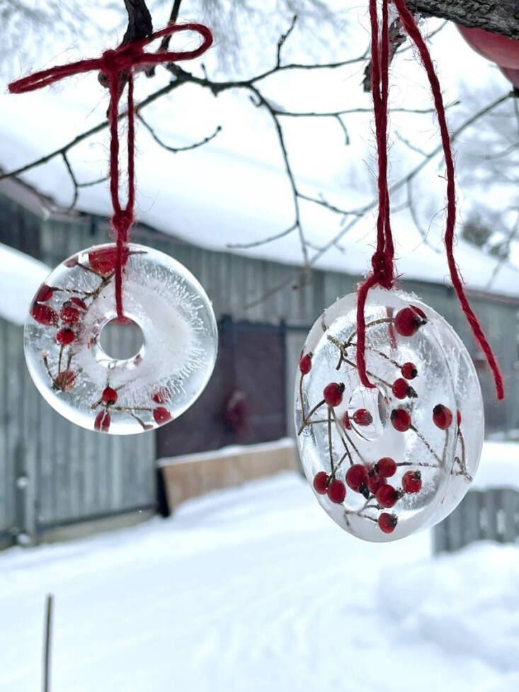 Rosehips frozen in a donut-shaped ice mold with twine for hanging.