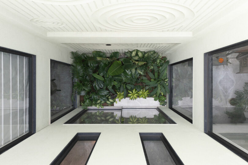Looking up from an interior courtyard at a white textured ceiling and a vertical wall of plants.