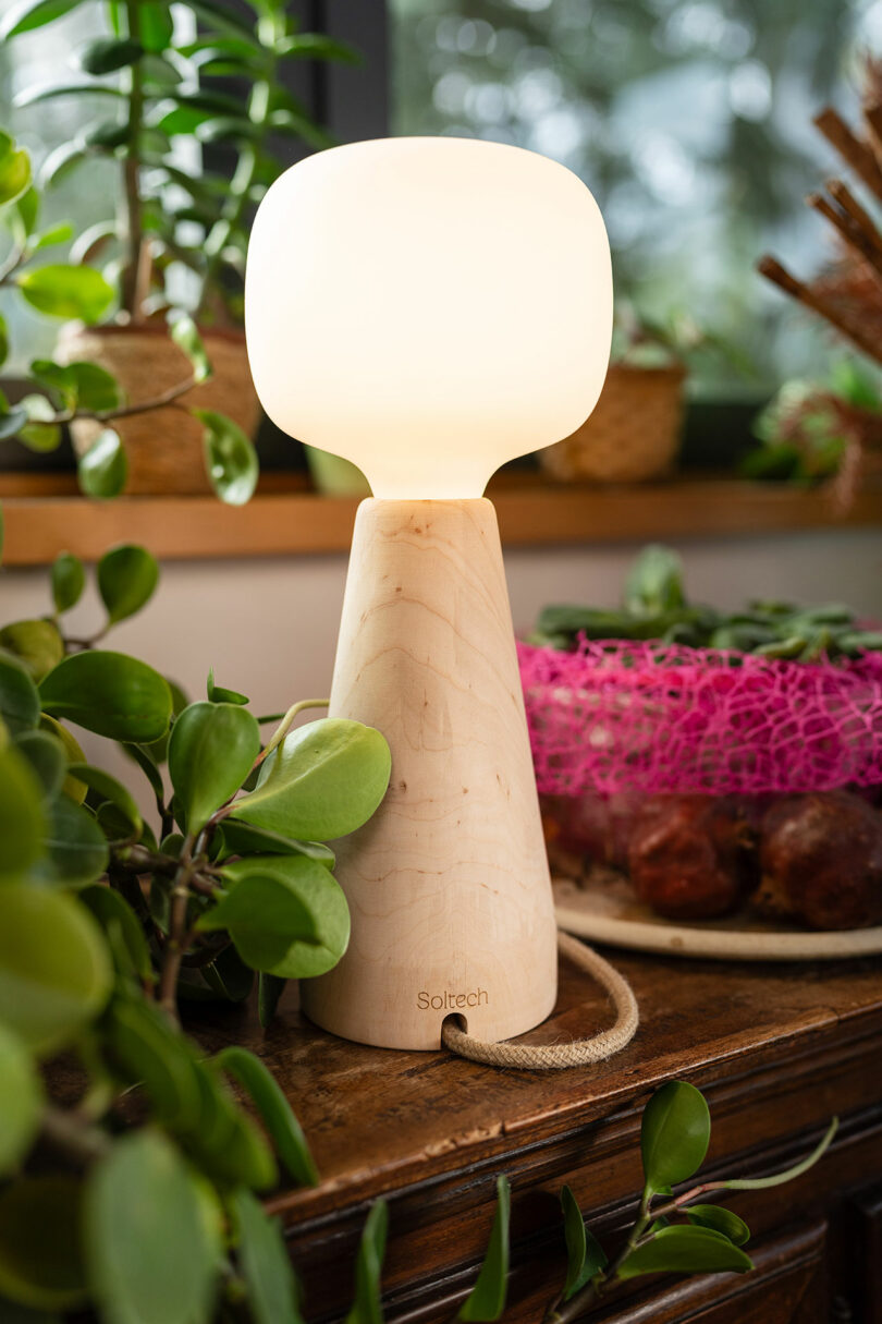 A close-up view of the Soltech Aura's wooden base and rounded frosted shade among green plants.