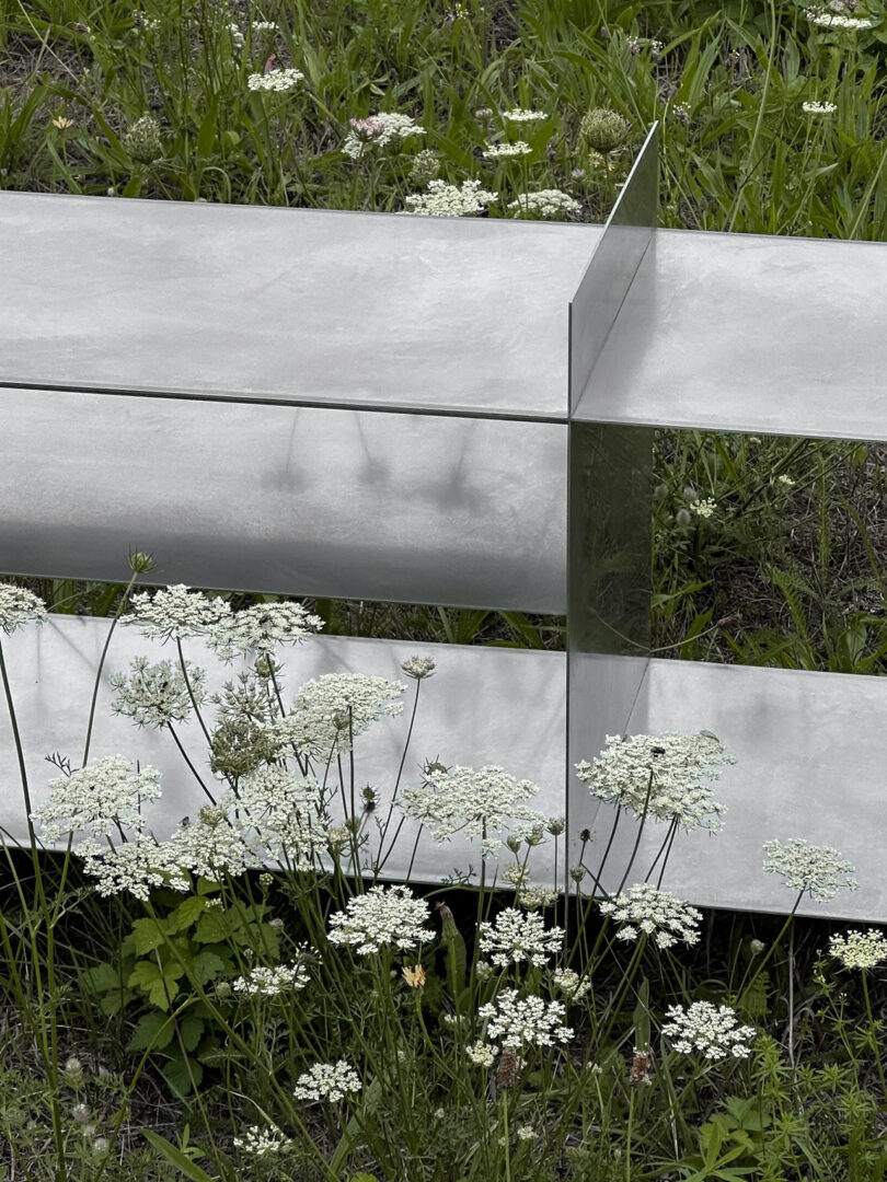 A minimalist metal bench in a field of tall grass and wildflowers.