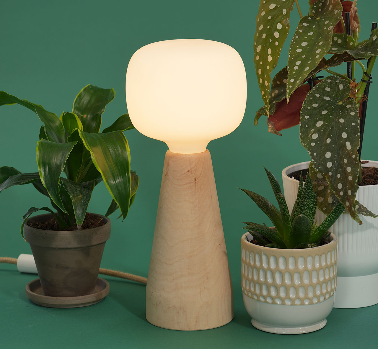 Close-up of a stylish grow lamp highlighting modern design elements.