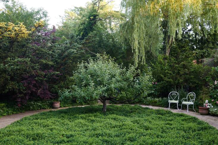 A landscape design showcasing interior-inspired layouts with structured pathways and diverse planting.