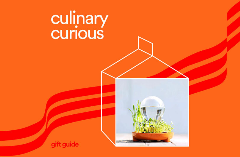 Graphic with 'culinary curious' text and abstract architectural and food elements.