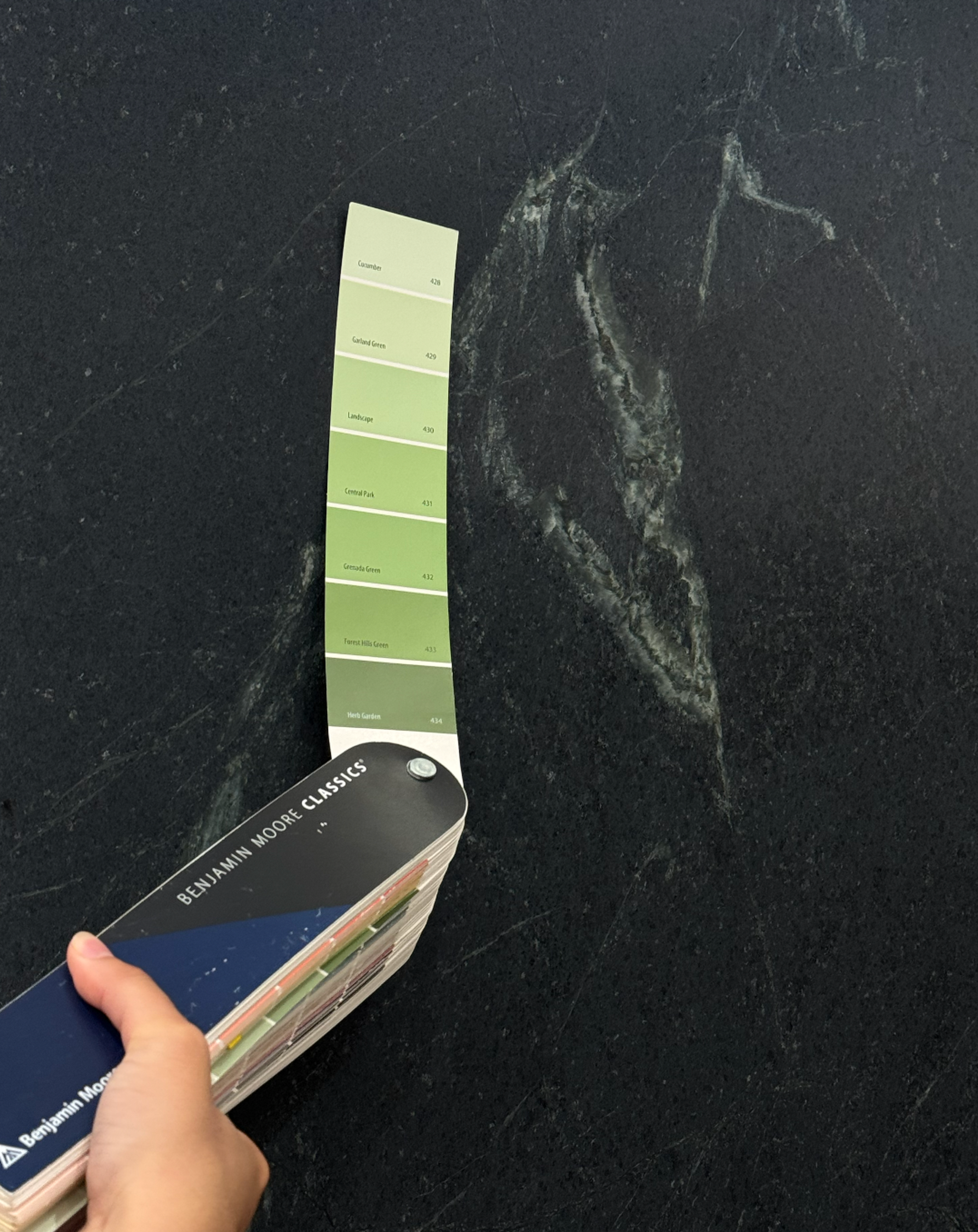 A hand holding paint swatches against a kitchen backdrop.
