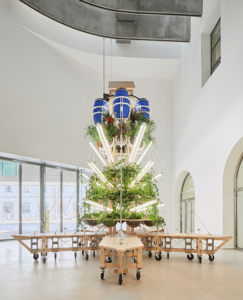 A tall, conical plant structure wrapped in LED lights and set on a wooden CNC-milled table.
