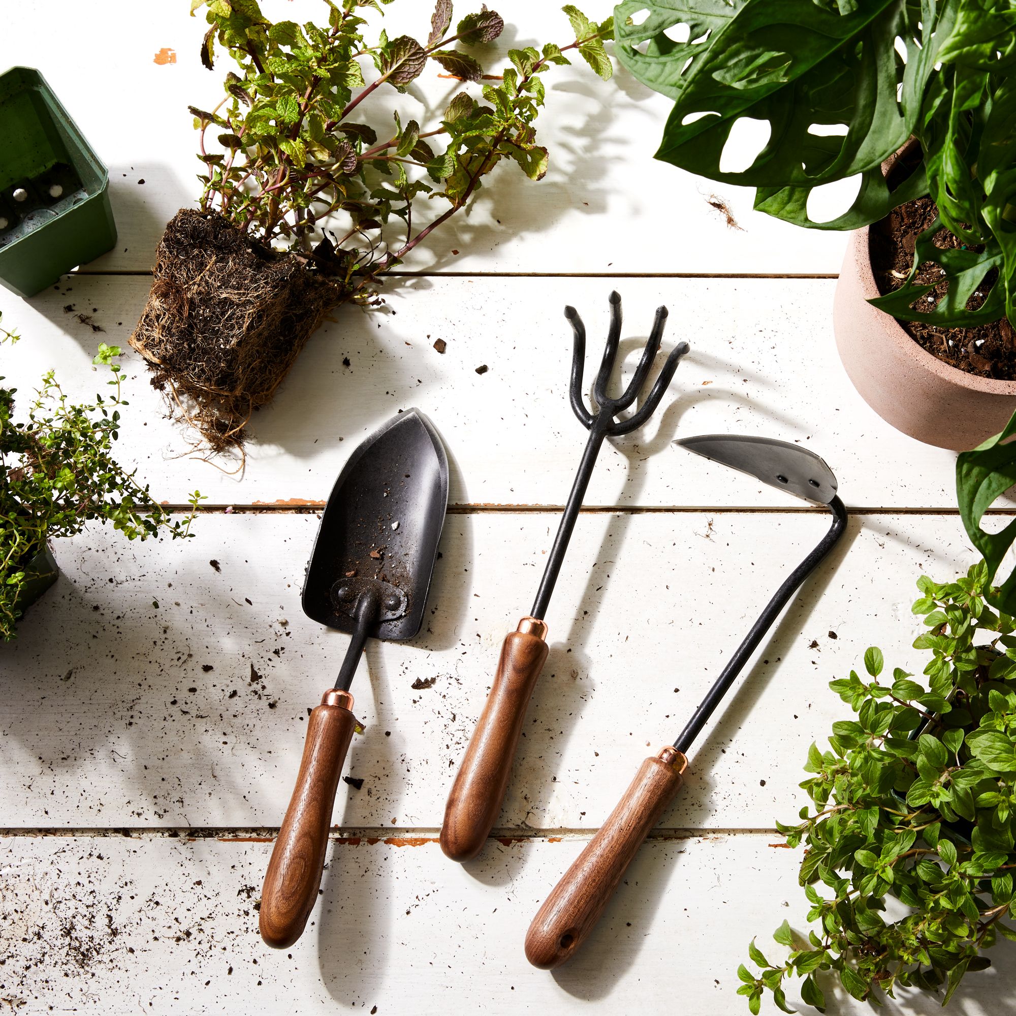 Close-up of gardening equipment including shears and hand tools on a wooden surface.