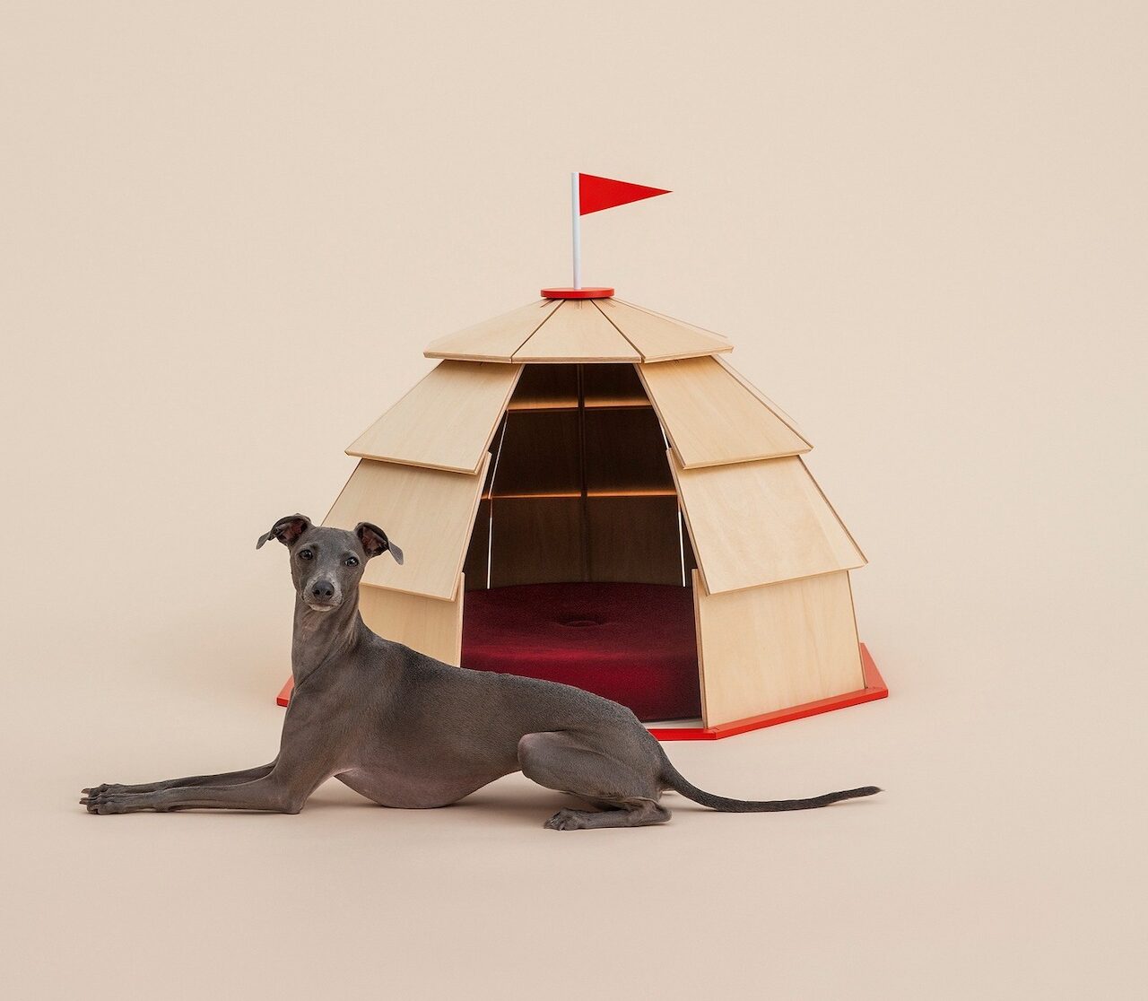 5 Smart Organization Parcels and Modern Storage Solutions for 2026