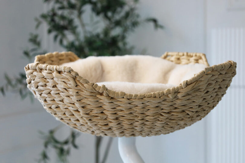 A close-up of a woven wicker pet bed with a thick, cream-colored orthopedic cushion.
