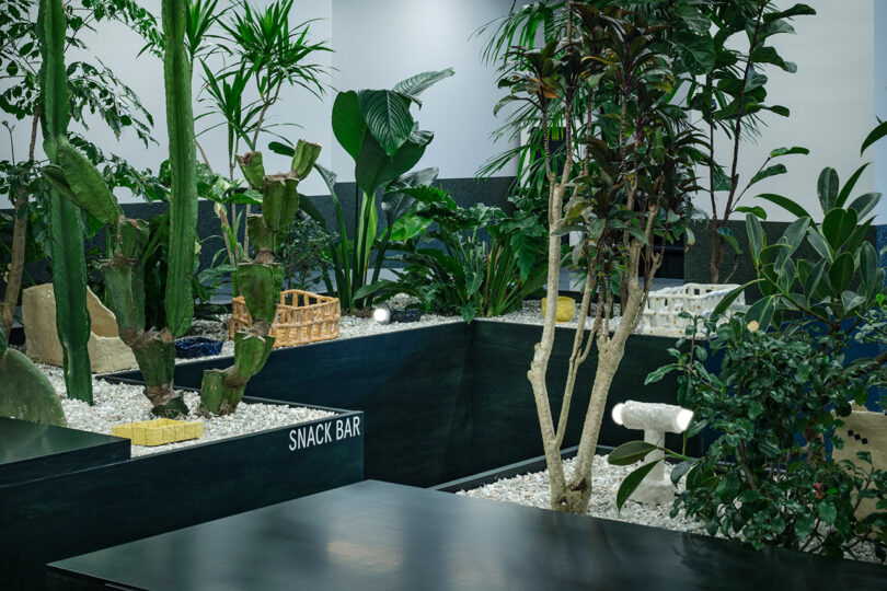 A minimalist indoor snack bar area with white gravel, black tables, and labeled snack sections.