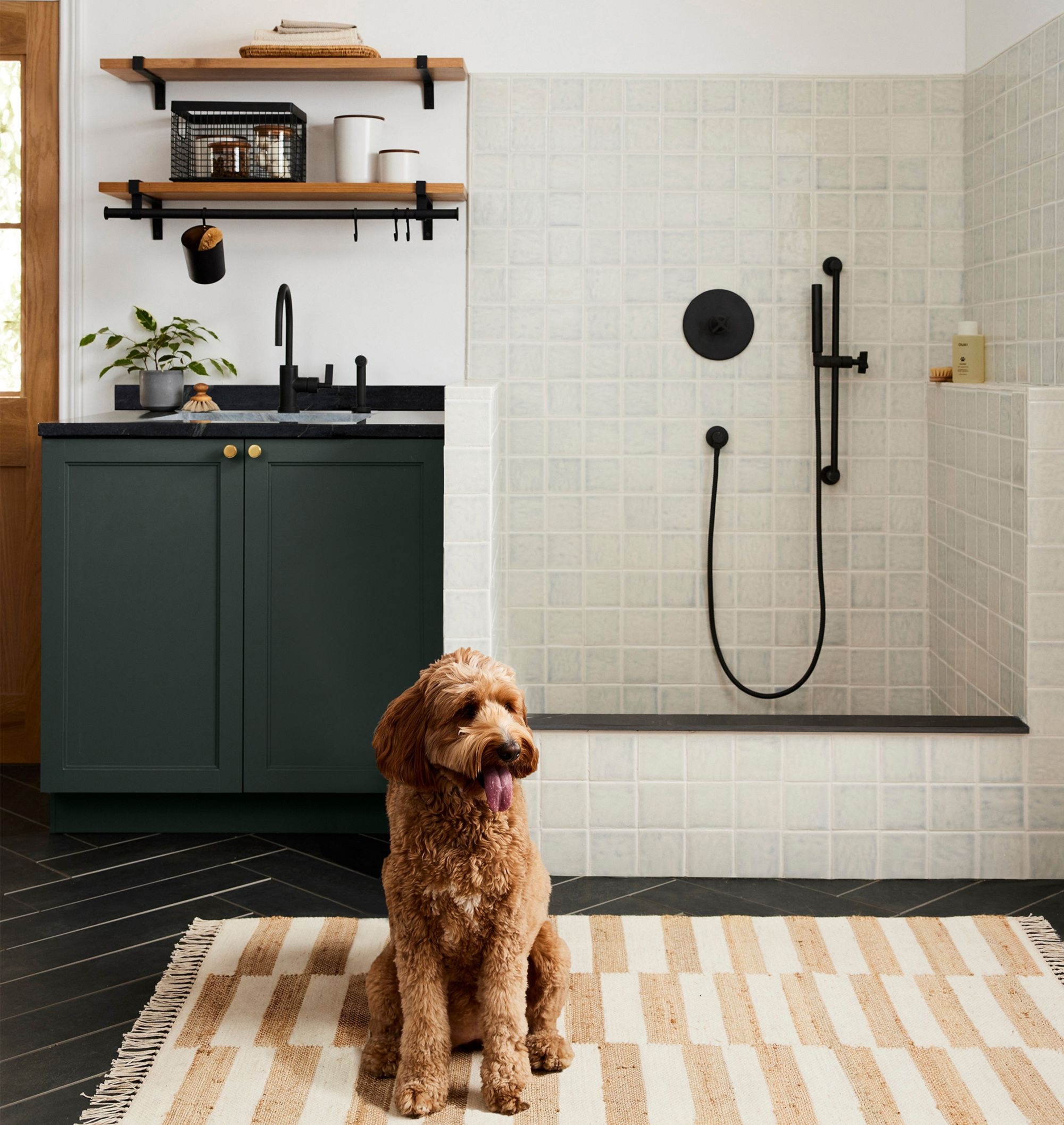 A tiled dog wash station in a mudroom with a high-end brass showerhead and white subway tiles.