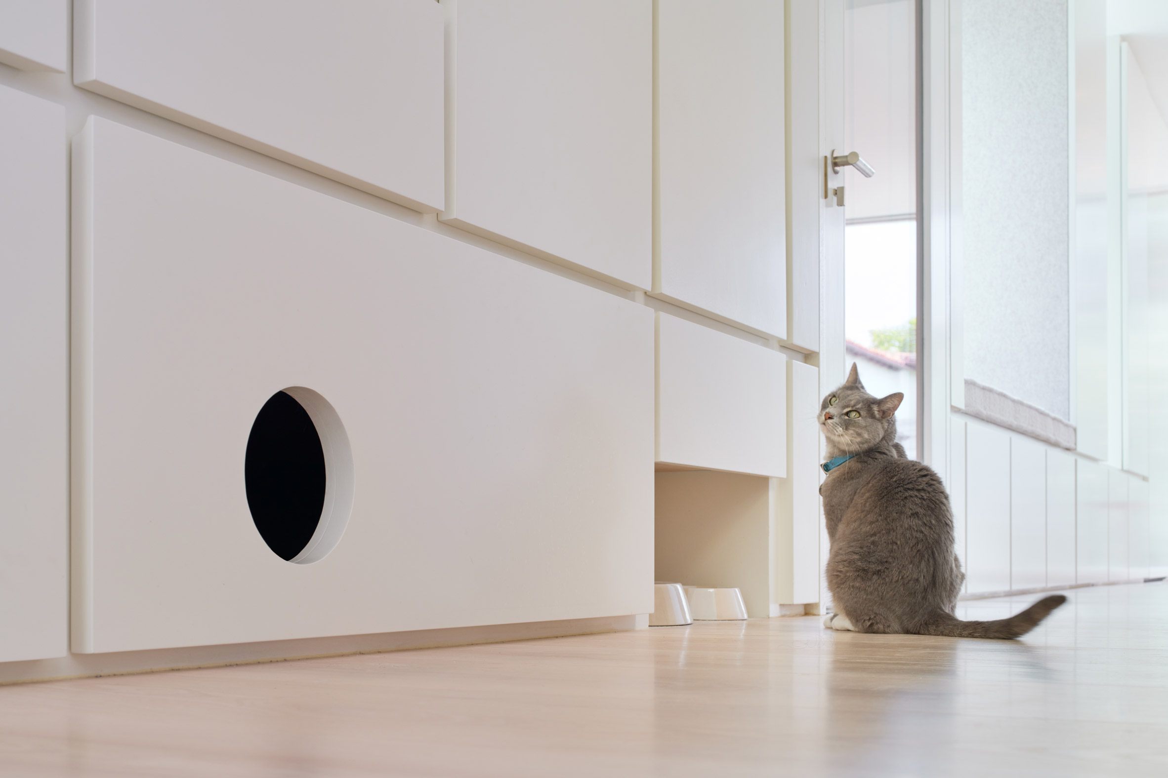 A white wall unit featuring a recessed cat bowl nook and an adjacent hidden litter chamber.