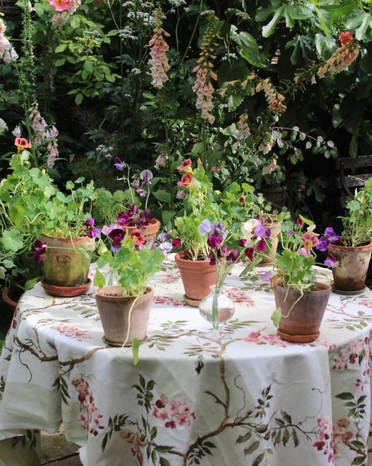 An embroidered tablecloth paired with fresh nasturtium and sweet pea flowers in a vase.