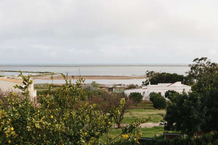An aerial-style view of the Casa Modesta property surrounded by almond and olive trees.