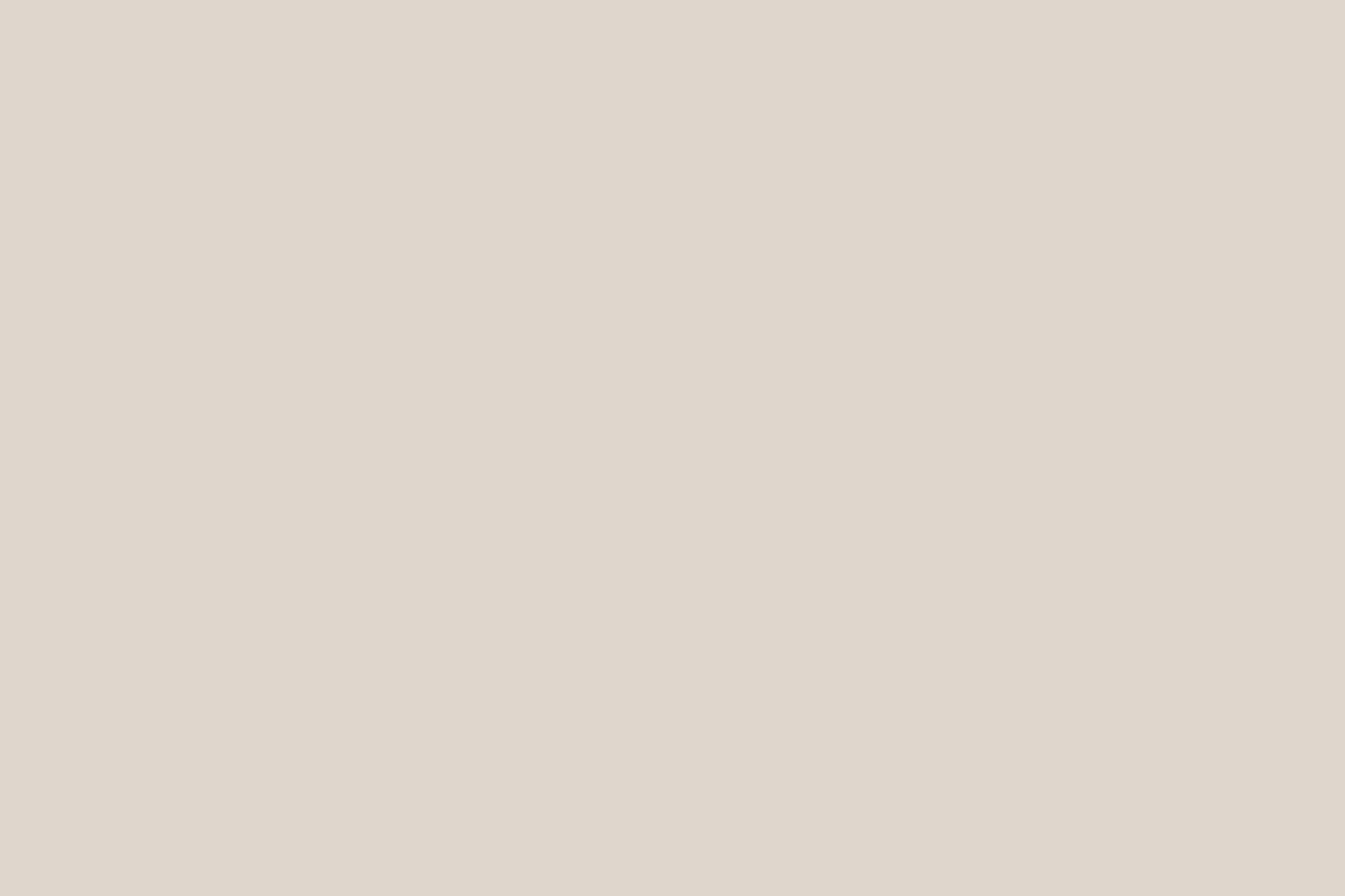 Interior wall painted in Farrow & Ball's Skimming Stone showing a warm, off-white hue.