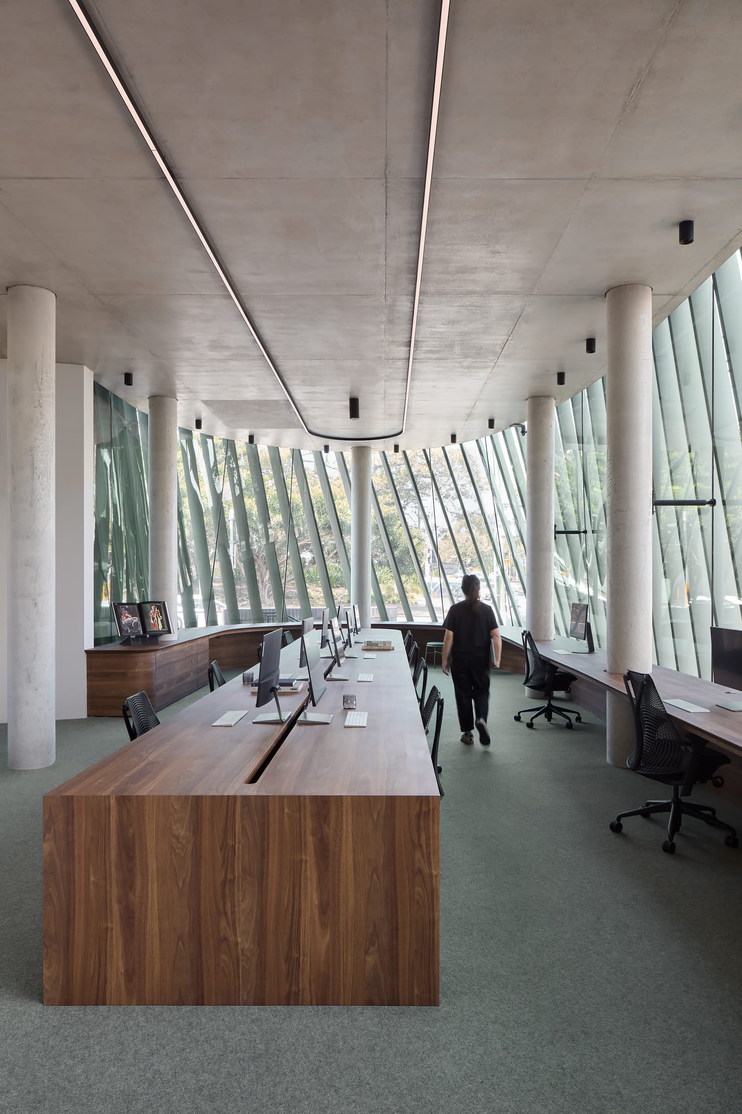 Interior office space featuring indoor plants and textured green-certified carpets.