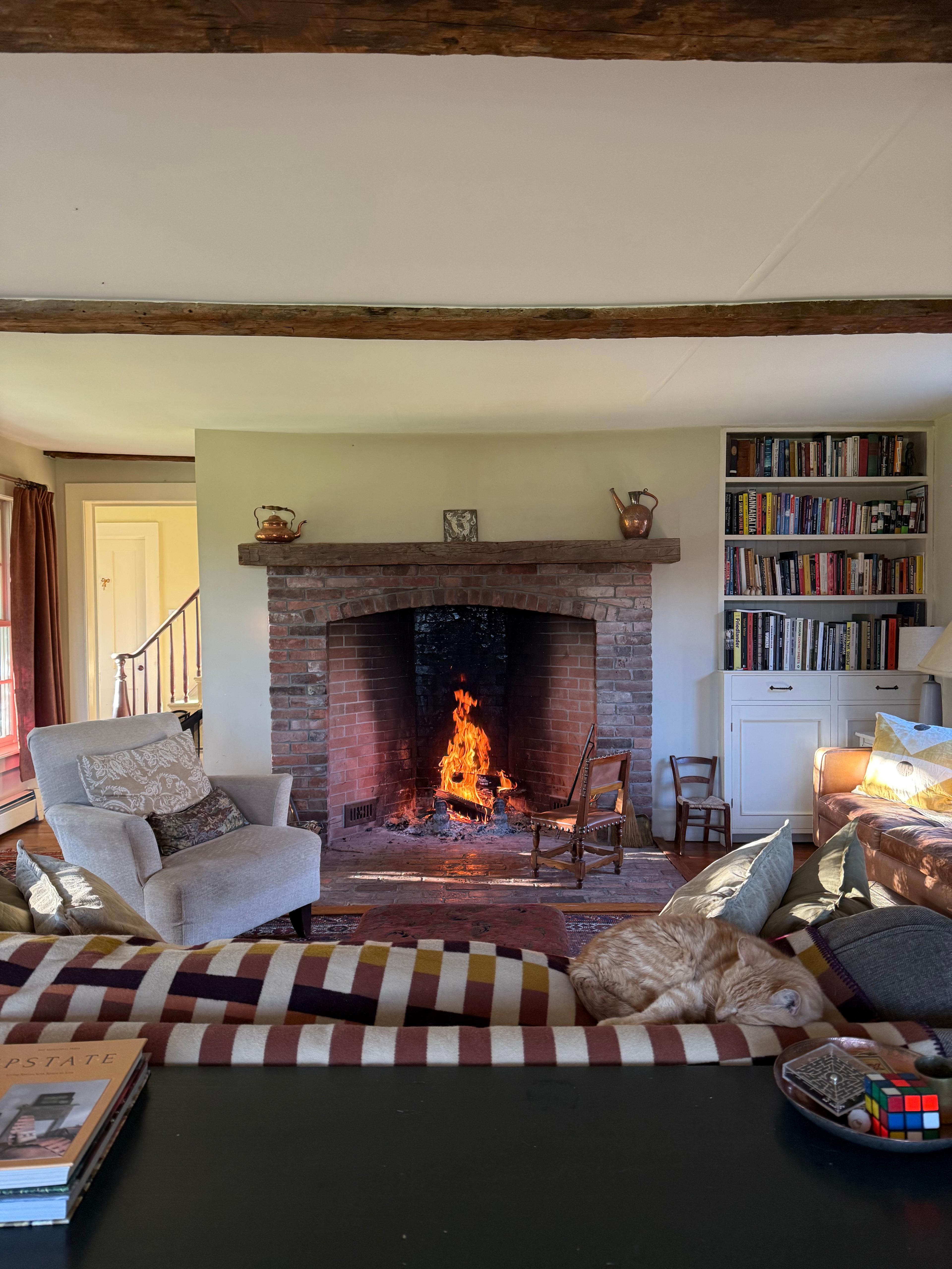 A dog resting comfortably on a rug in front of a warm fireplace.