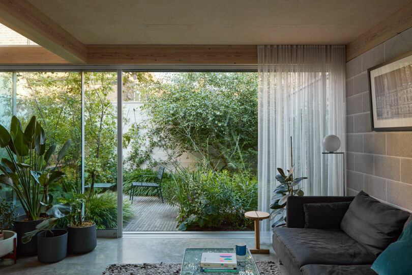 A modern living room with a dark sofa and a glass wall looking out onto a lush patio garden with green plants.