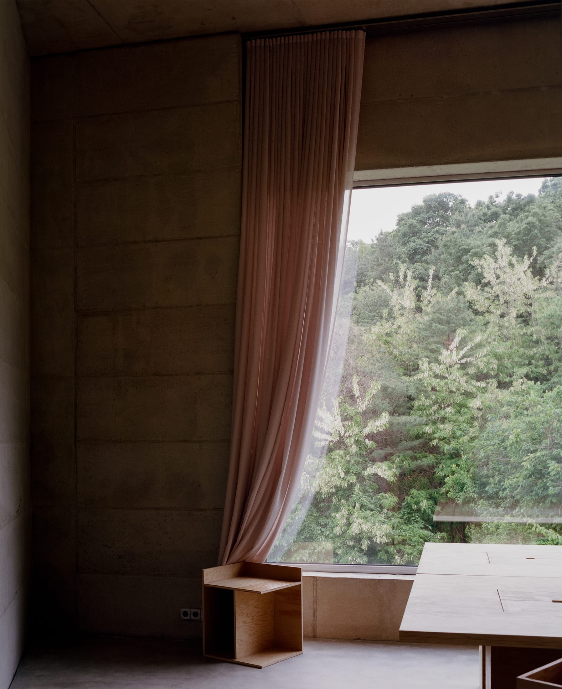 Interior view showing a large window framing natural light and green leaves against a concrete wall.