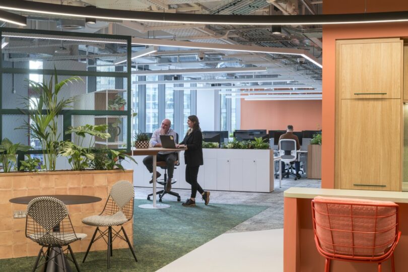 Employees using a height-adjustable standing desk in a bright office space filled with green plants.