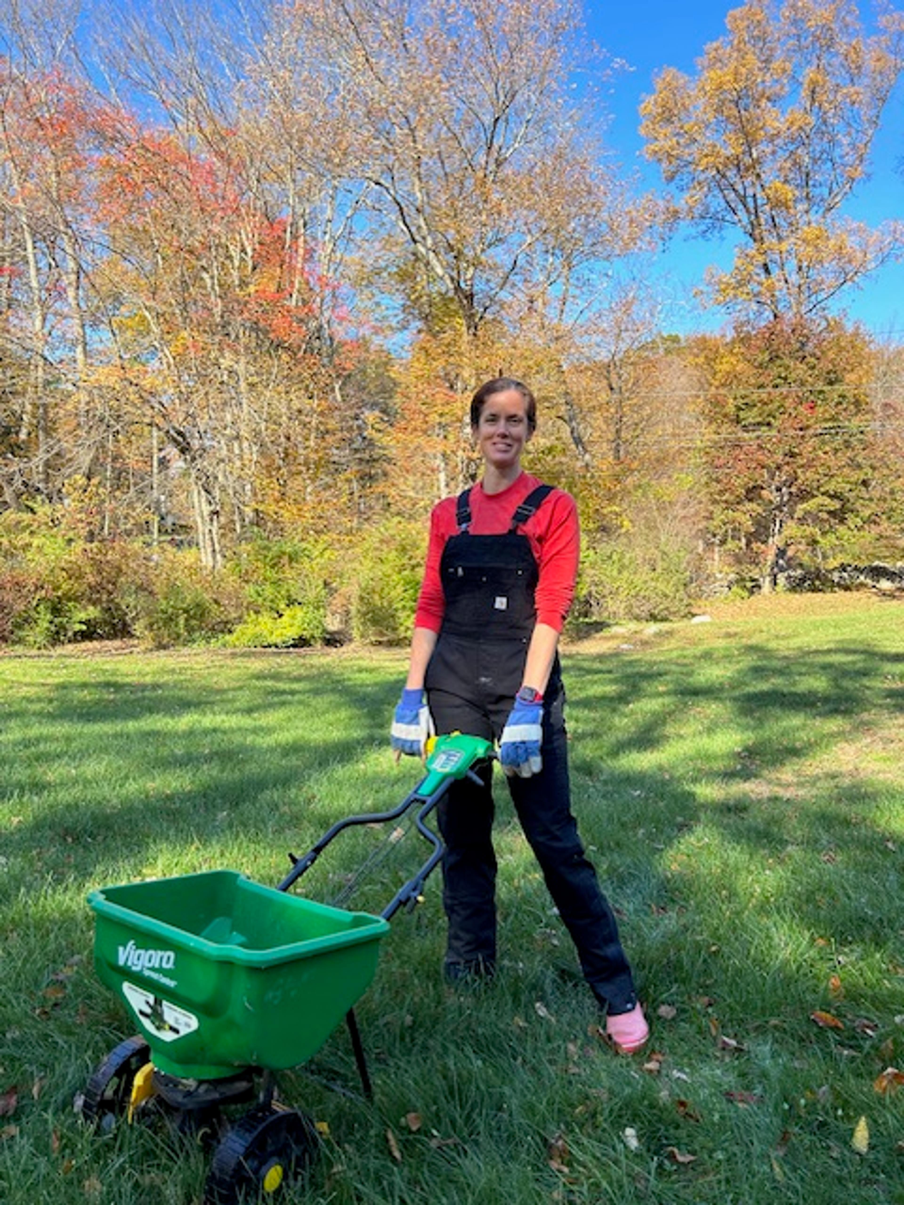 An elderly expert gardener preparing tools and fertilizer for the autumn lawn treatment.