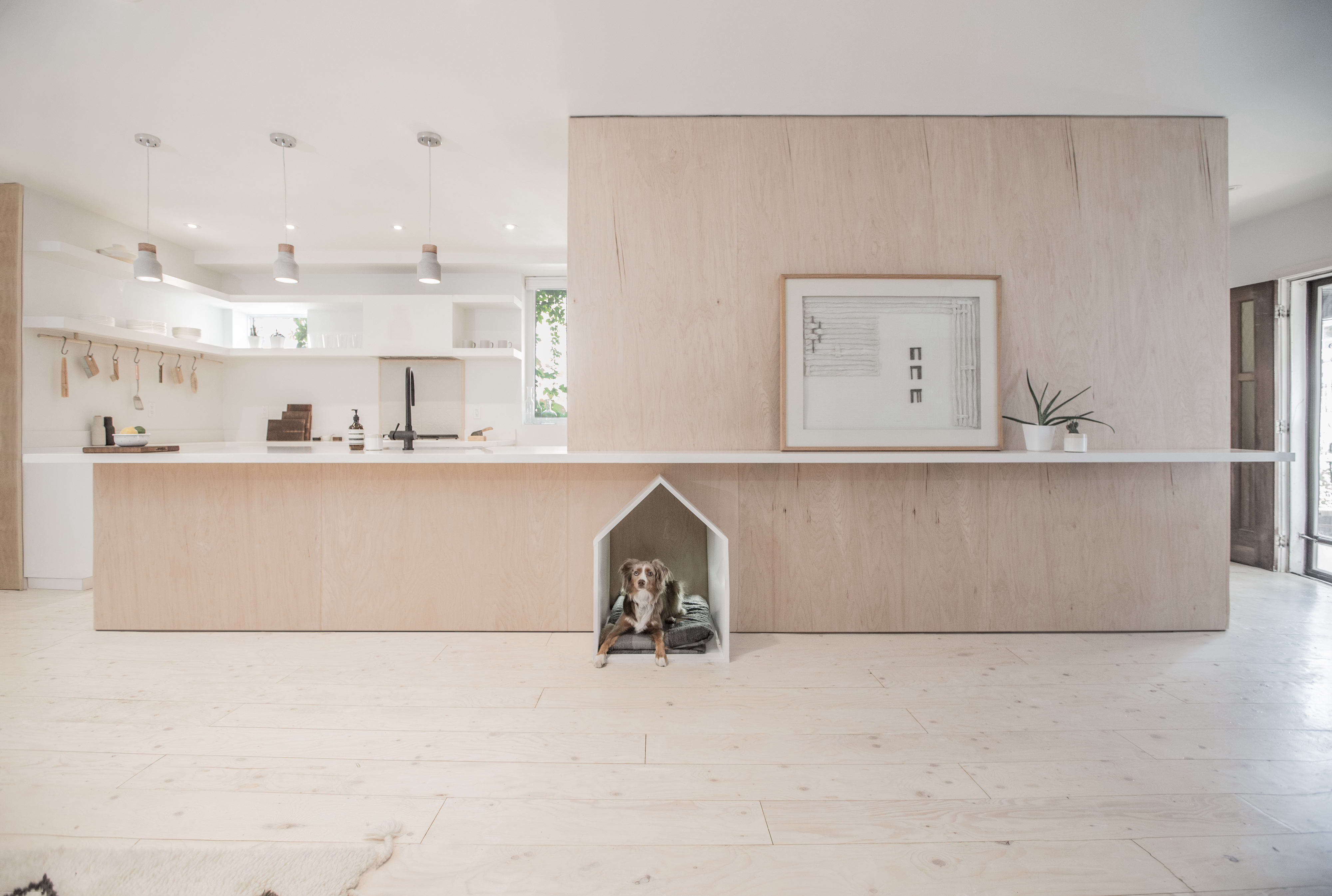 Hidden in Plain Sight: 8 Best Built-In Solutions for Modern Pet Gear