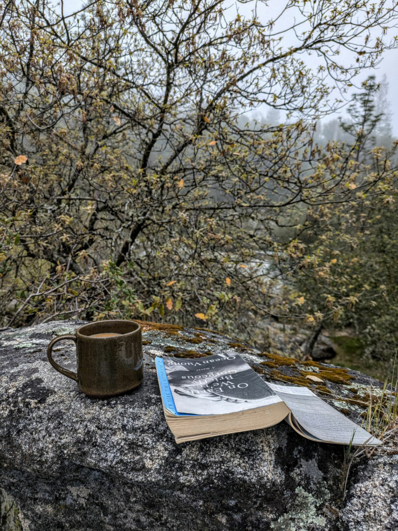 A ceramic mug and an open book resting on a large natural rock outdoors.