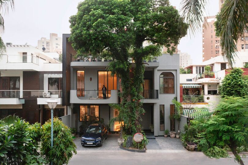 Modern two-story bungalow with a large mature tree growing through the front entrance terrace.