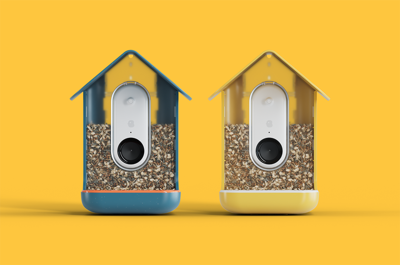 A Bird Buddy smart bird feeder identifying a bird on a mobile app interface.