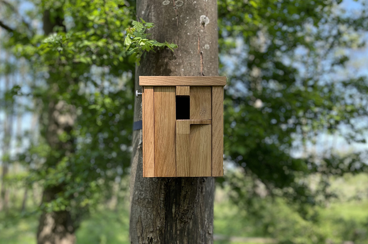 Graphic text reading 'Bring All the Birds to the Yard With Ucci’s Nesting Boxes'.