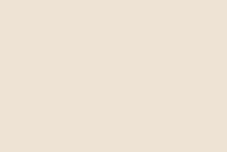 A wall painted in a warm white-taupe color under natural light.