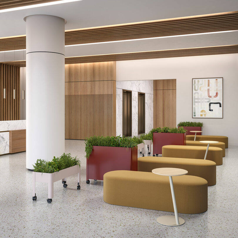 A modern office lobby with colorful seating, varied planters, and an open, collaborative atmosphere.