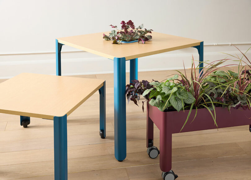Modular square tables with blue frames and a maroon planter unit on wheels.