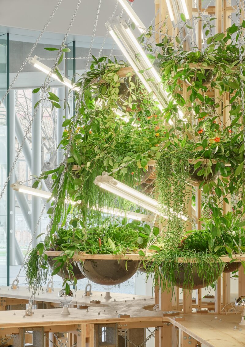 Green plants in wooden planters positioned next to large windows with industrial metal frames.