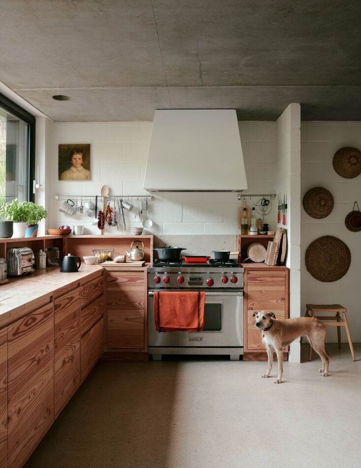 A minimalist kitchen with Douglas Fir cabinetry and a dog standing on a light wood floor.
