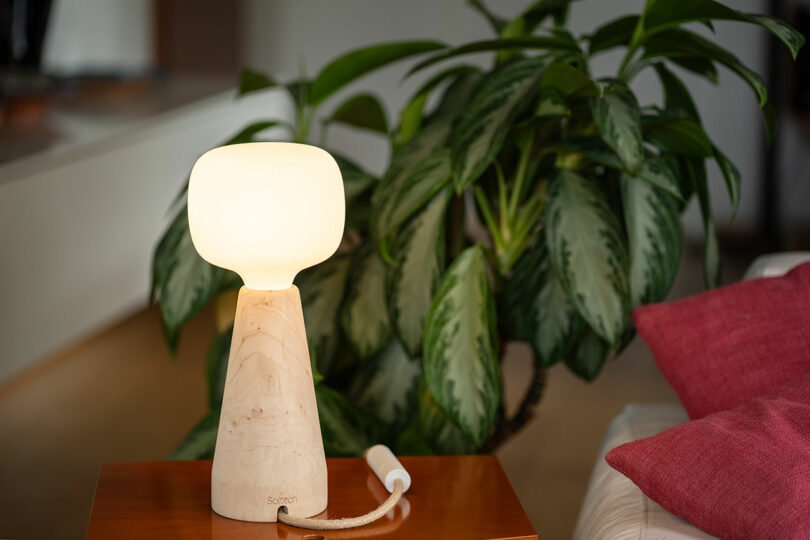 A warm wooden table lamp illuminating a lush green plant next to a soft pink cushion.
