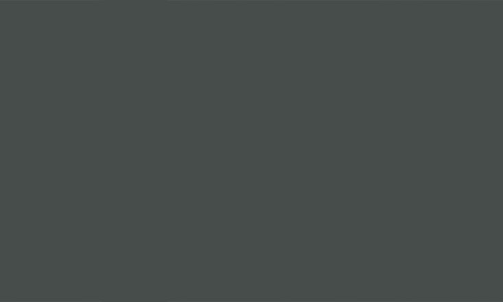 Window shutters painted in a deep, dark Studio Green hue.