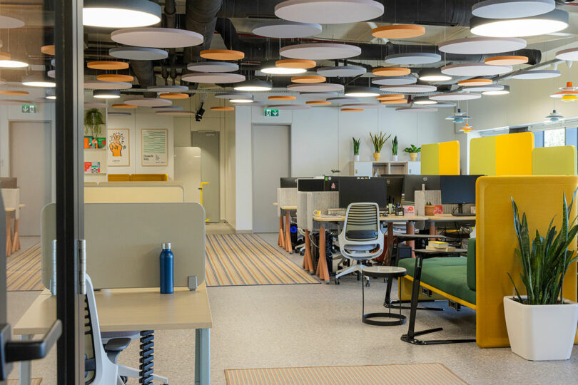 Sunlit open-plan office space with multiple computer desks, ergonomic chairs, and acoustic ceiling panels.
