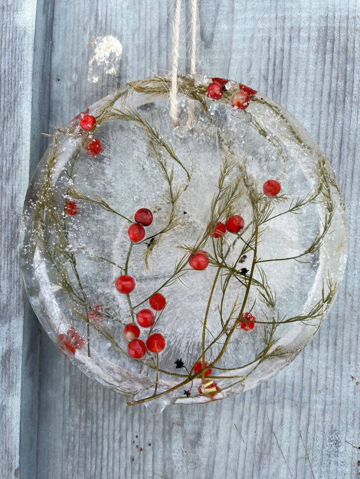 A single frozen asparagus sprig captured in clear ice.