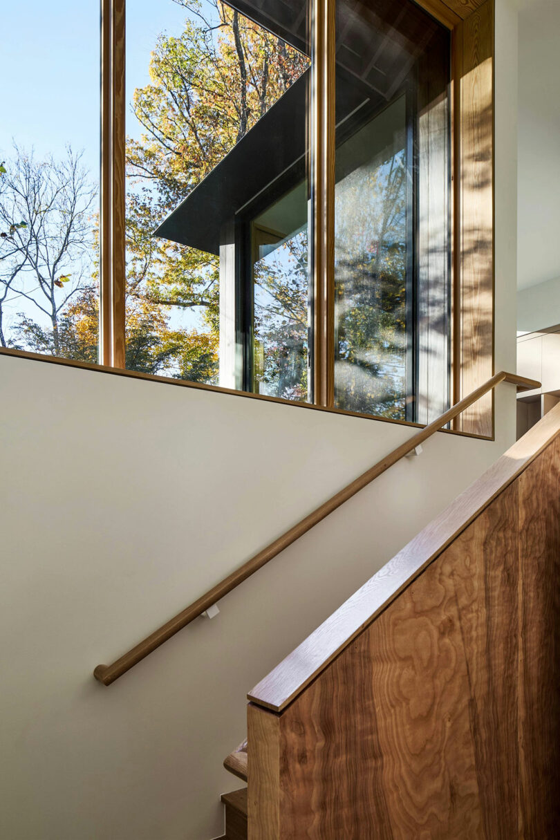 A modern wooden staircase with a handrail next to expansive windows showing the building's exterior and trees.