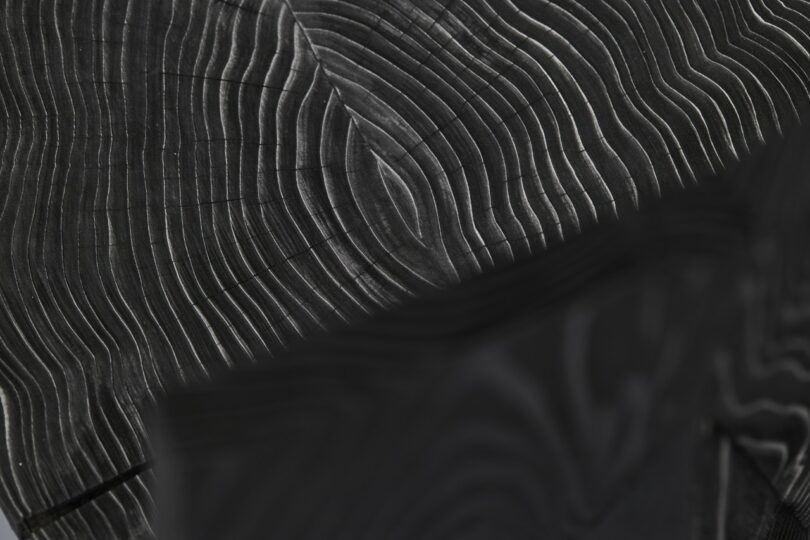 Close-up of dark charred wood showing detailed concentric growth rings.