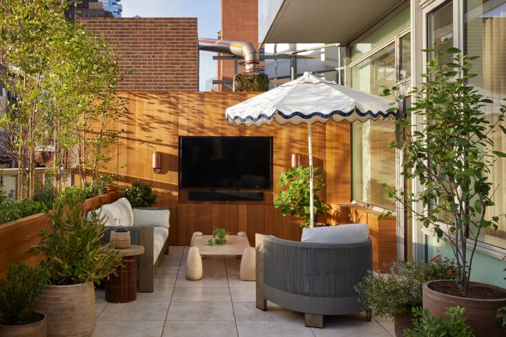 A lushly planted SoHo roof terrace featuring green privacy hedges and an inviting coffee spot.