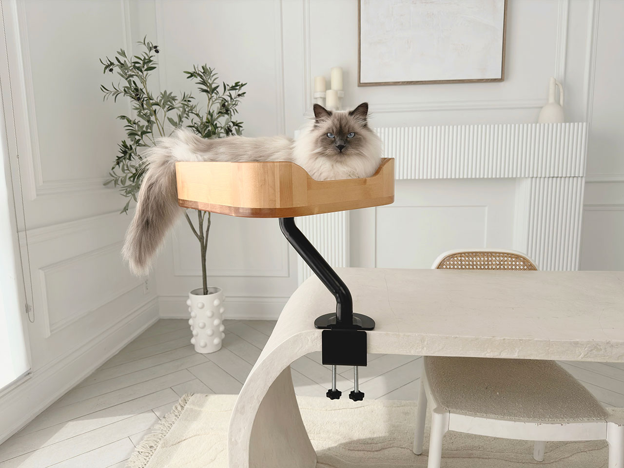The Best Desk-Mounted Cat Beds for WFH Productivity: Ergo Purrch & Desk Nest Guide