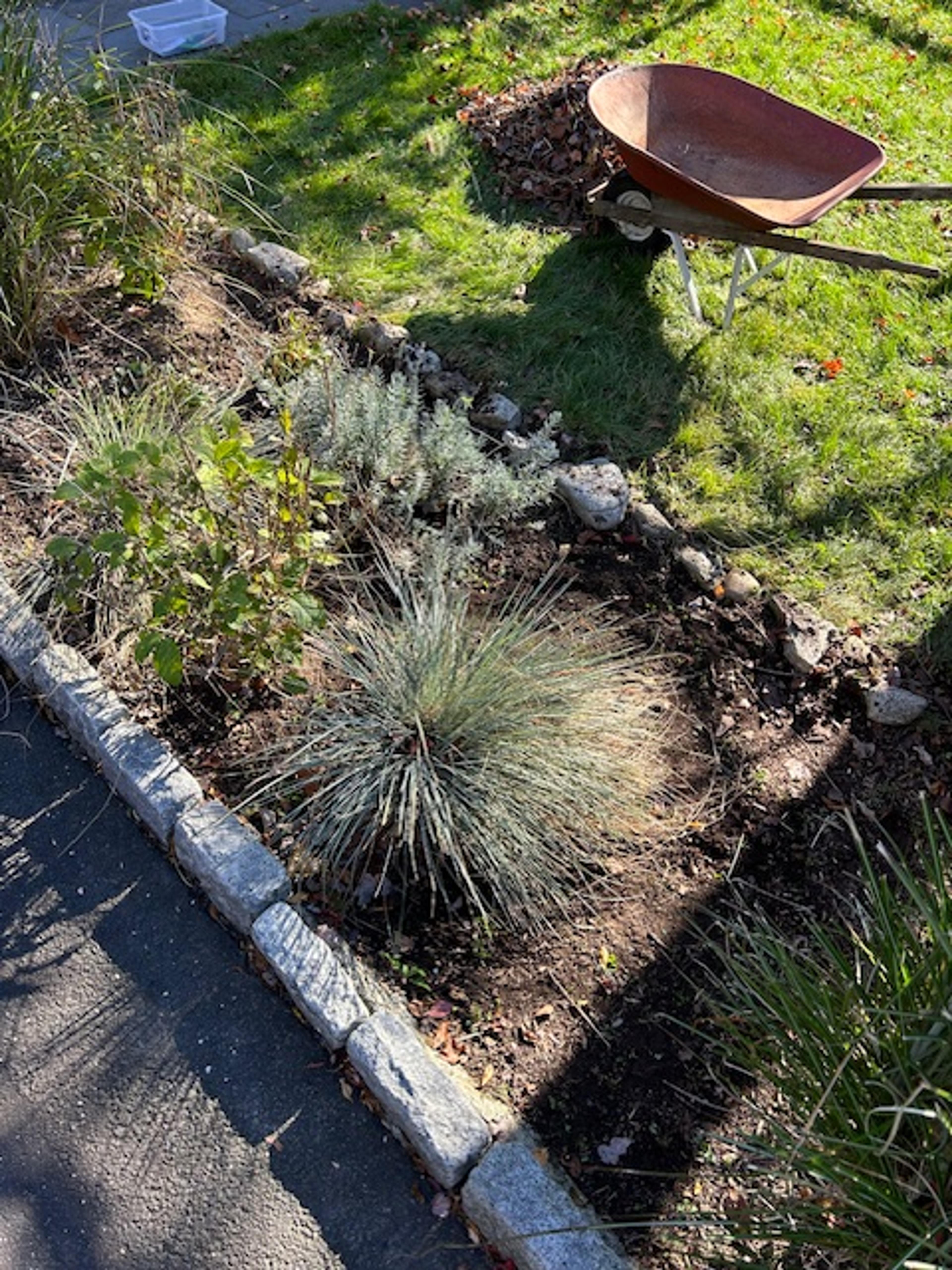 A tidy, weeded garden bed with dark soil prepared for the winter months.