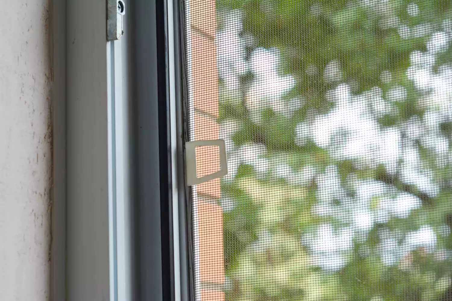 Detailed close-up of a window mesh screen with blurred summer greenery in the background.