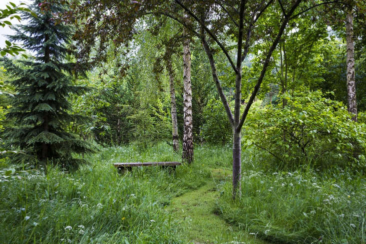 A cozy, shaded garden nook nestled among mature trees and diverse groundcovers.